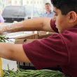 Immaculate Conception School Student placing fresh produce in the basket of an elderly woman 